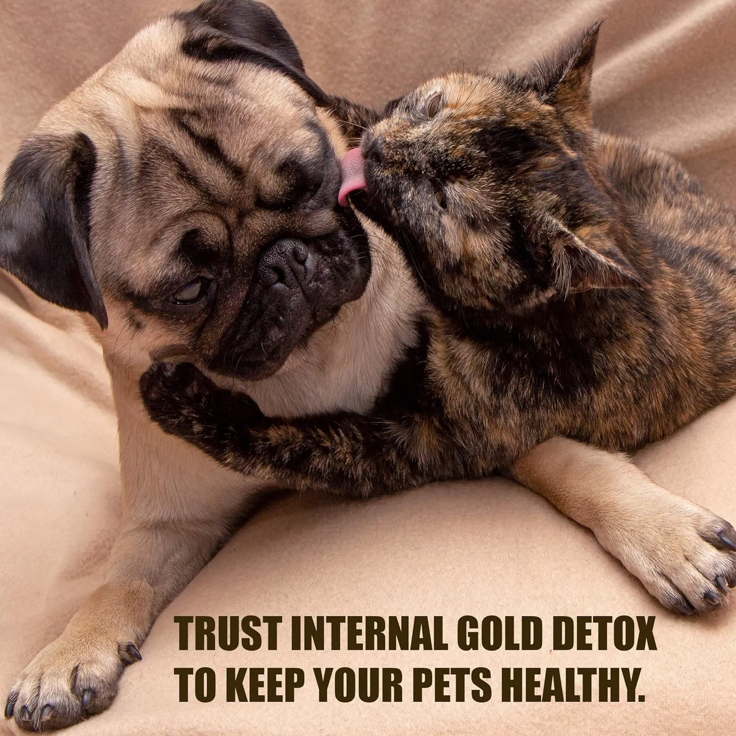 Amber Naturalz Internal Gold Detox KIT - Powerful & Gentle Cleanse & Rejuvenation - for Dogz & Catz