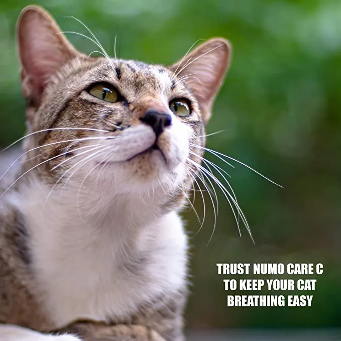 Amber Naturalz Numo Care C: Breathe Easy - for Cats