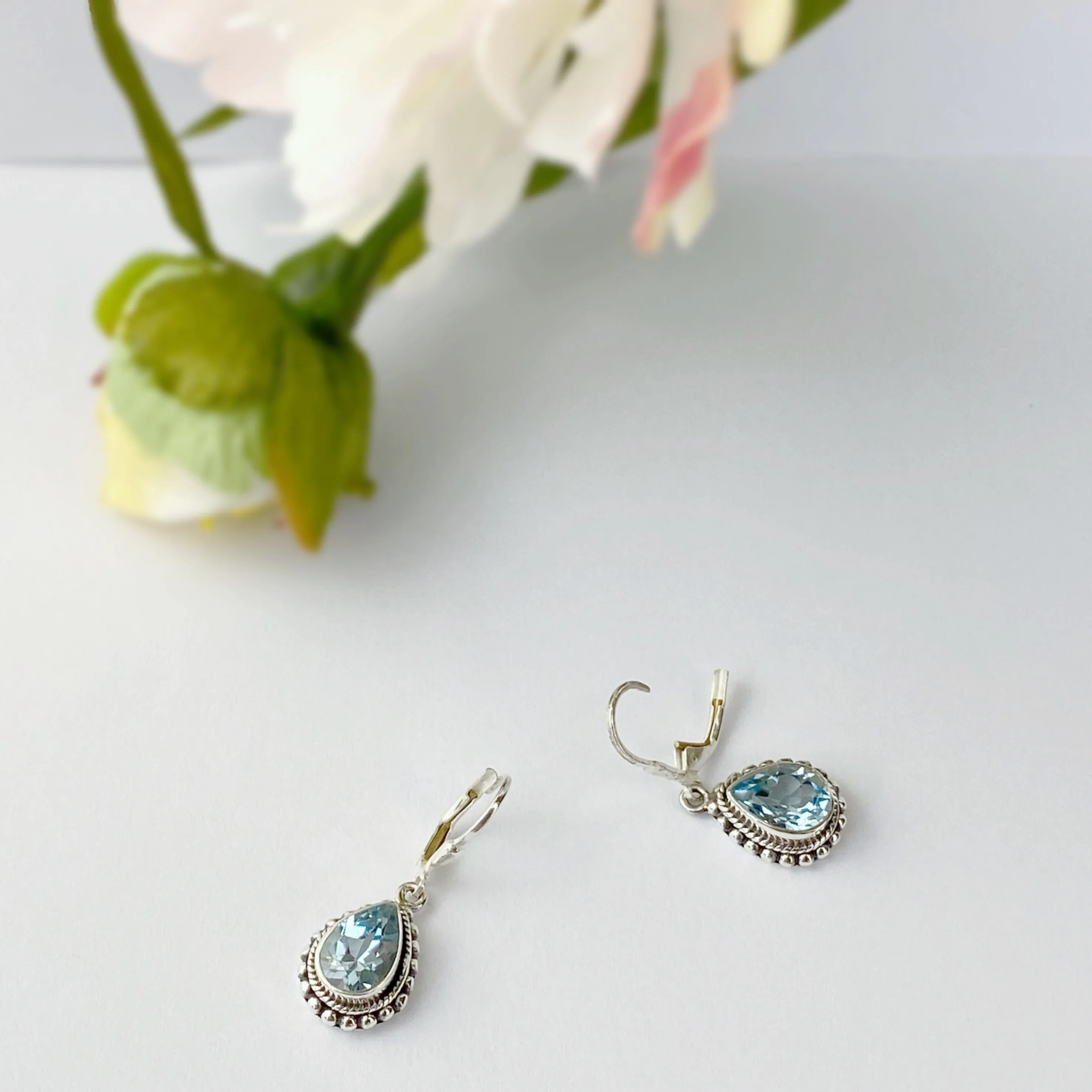 Dina Earrings - VE247BT