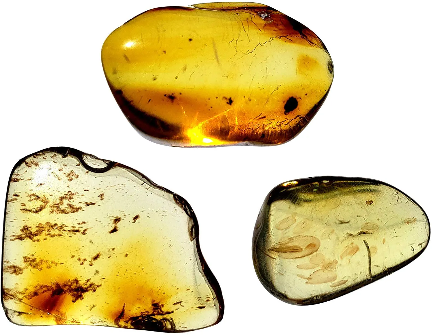 Genuine Colombian Amber Fossil Specimen - Naturally Formed - May Contain Inclusions - Great Collectible