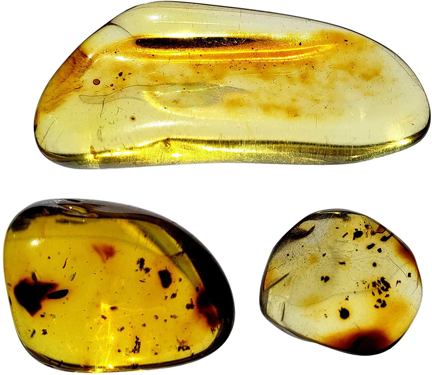 Genuine Colombian Amber Fossil Specimen - Naturally Formed - May Contain Inclusions - Great Collectible