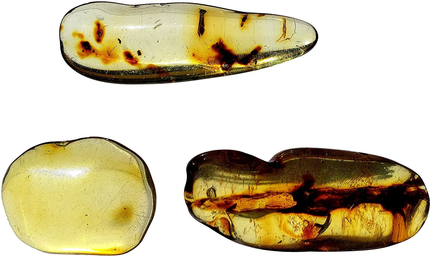 Genuine Colombian Amber Fossil Specimen - Naturally Formed - May Contain Inclusions - Great Collectible