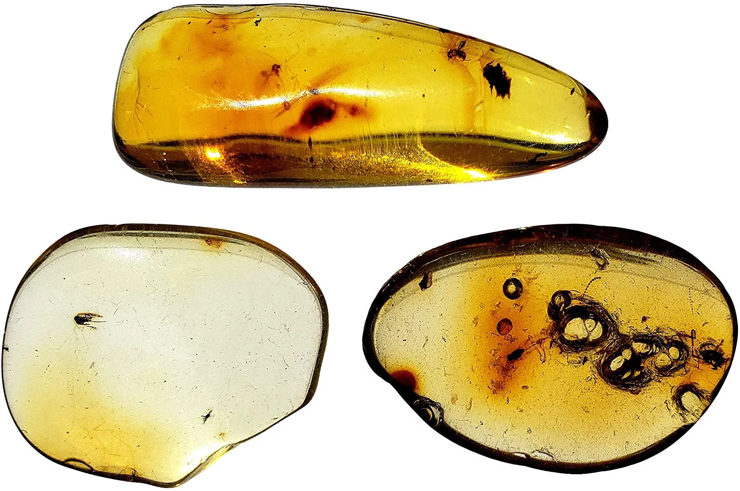 Genuine Colombian Amber Fossil Specimen - Naturally Formed - May Contain Inclusions - Great Collectible