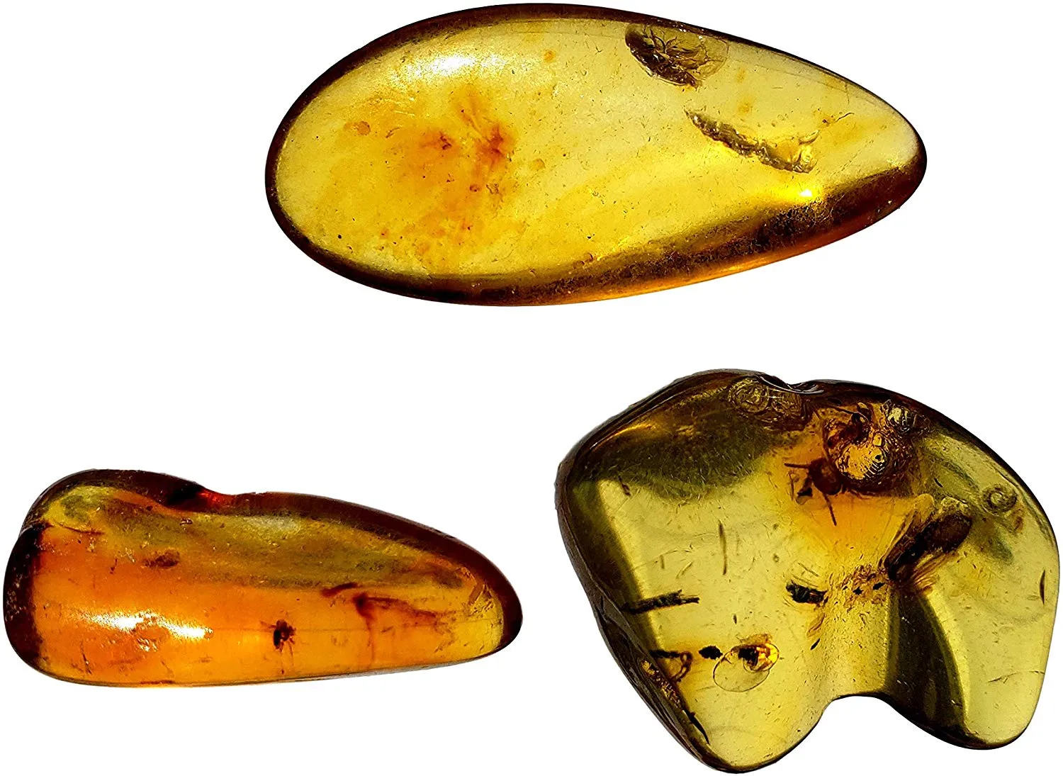 Genuine Colombian Amber Fossil Specimen - Naturally Formed - May Contain Inclusions - Great Collectible