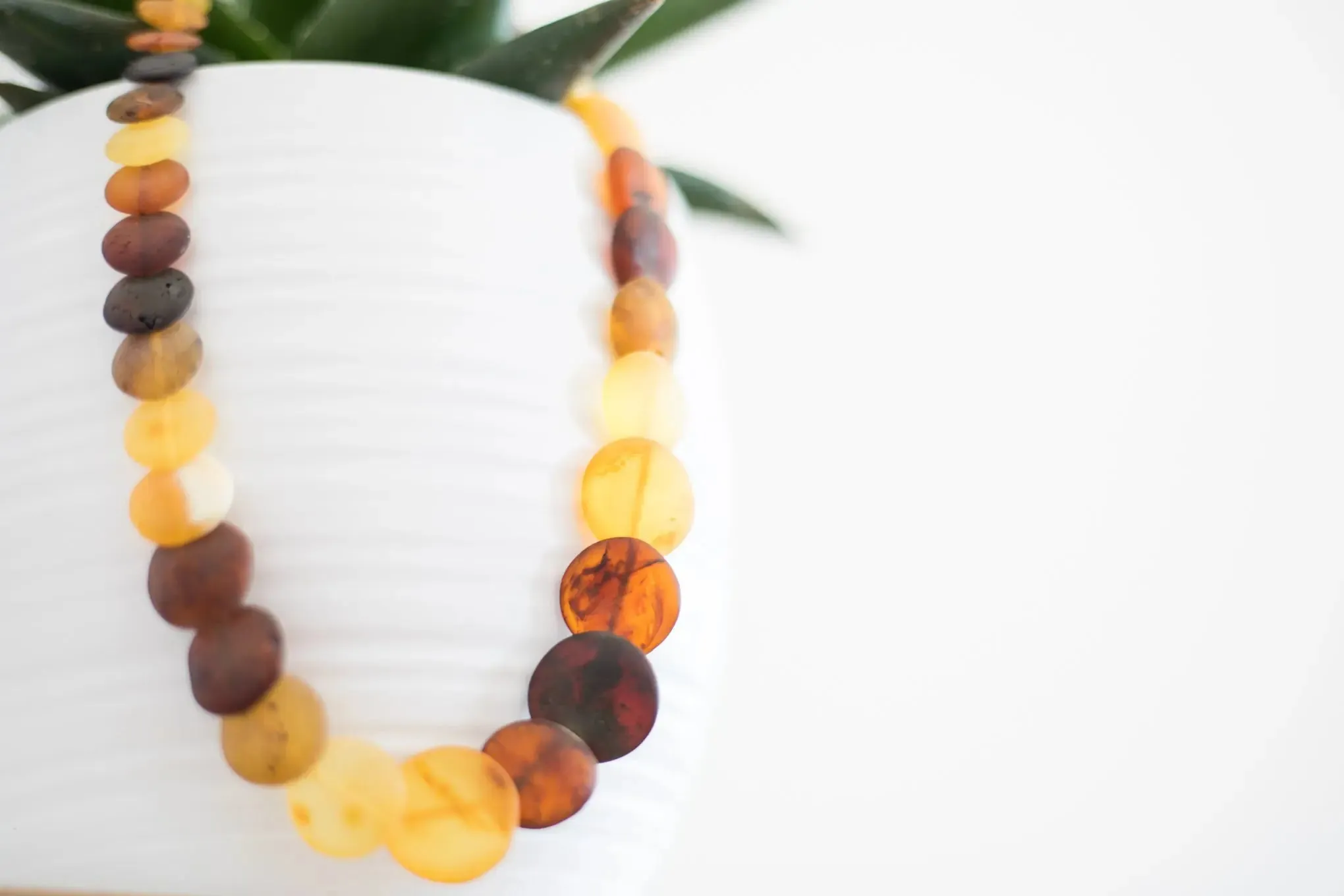 Multicolour Amber Disc Necklace